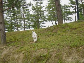 dsc01471.jpg