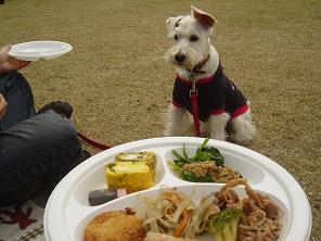 dsc00888.jpg