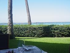 dsc08842.jpg
