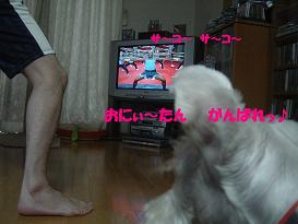 dsc09060.jpg