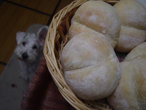 dsc01137.jpg