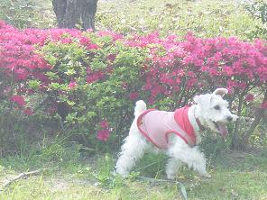 dsc01144.jpg