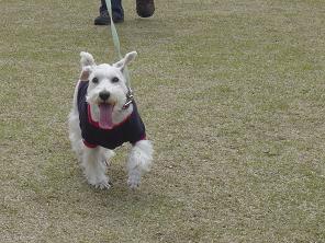 dsc00875.jpg