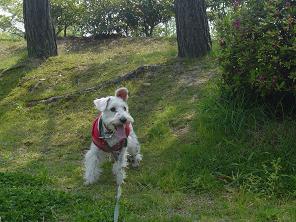 dsc01150.jpg