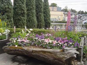 dsc00849.jpg