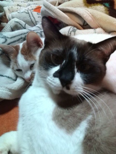 うん