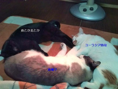 やや広がり大陸