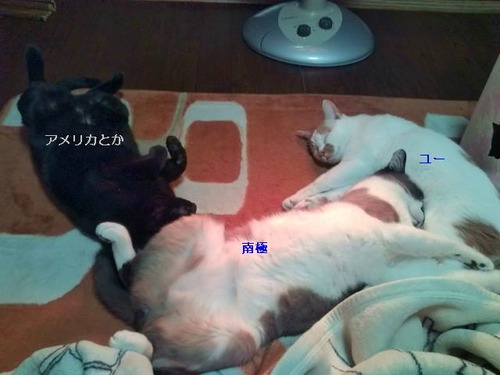 さらに広がり大陸たち