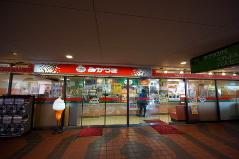 DSC04934