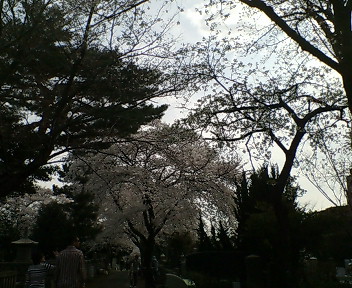 20080329133953.jpg