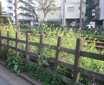 20080427165023.jpg