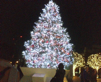 20081129194503.jpg