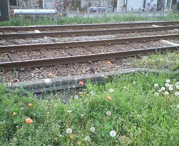 20080427172739.jpg