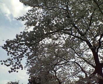 20080329134015.jpg