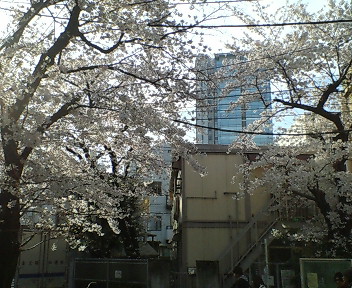 20080331161318.jpg
