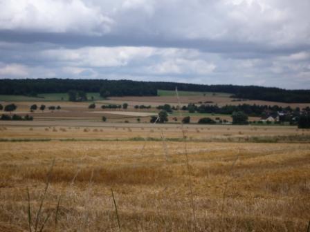 p1060330.jpg