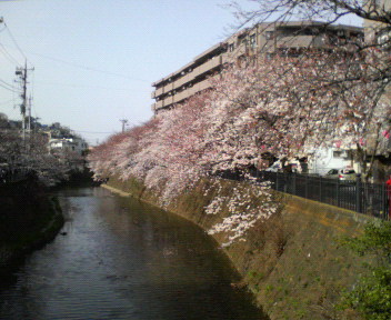 P1000029.jpg
