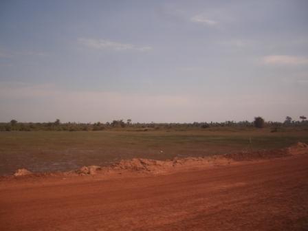 CIMG2838.jpg