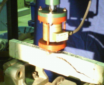 P1000064-1.jpg