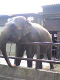 image0091.jpg