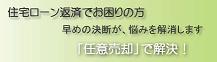 e027808c.jpg