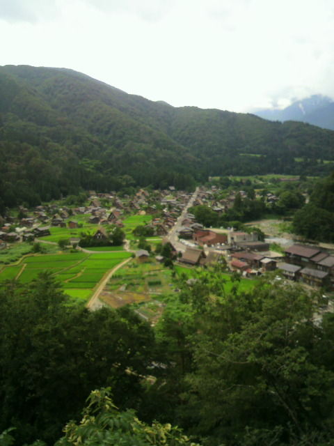 P1002605