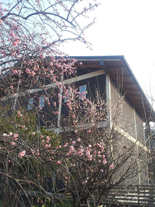 20130305_084057