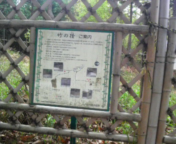 p1000012.jpg