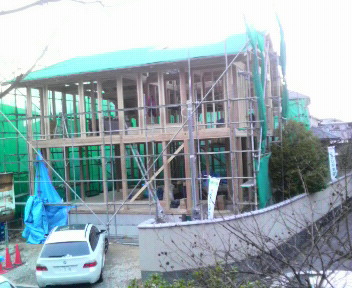 p1000179.jpg