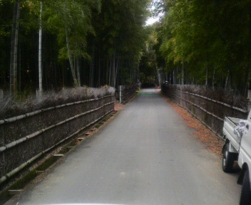 p1000014.jpg