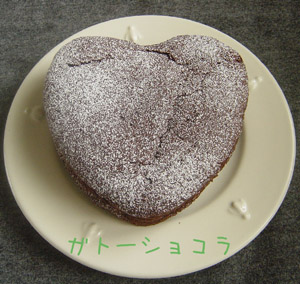 img20060214_2.jpg