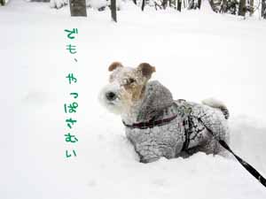 img20050129_1.jpg