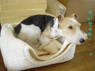 img20050927_1.jpg