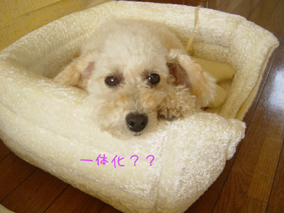 img20050927.jpg