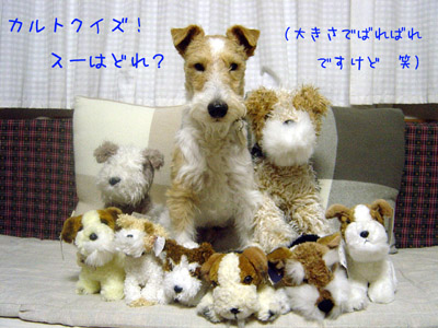 img20060301.jpg