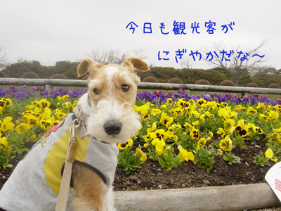 img20050429.jpg