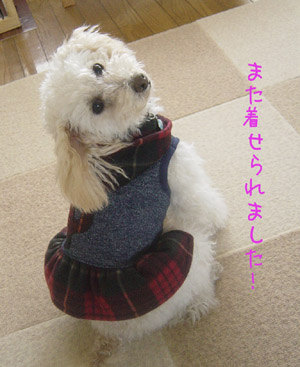 img20060223_1.jpg