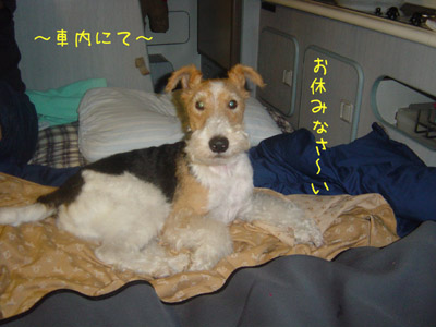 img20050829_2.jpg