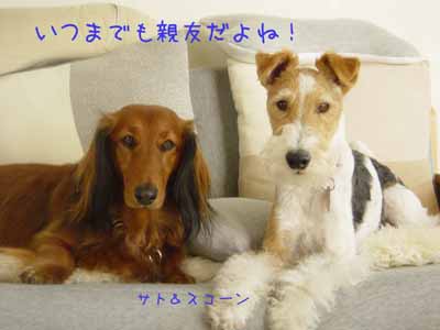 img20050328.jpg