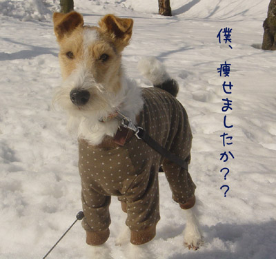 img20060216.jpg