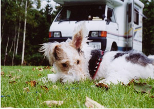 img20060306_1.jpg