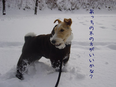 img20051216.jpg