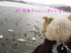 img20060221_2.jpg