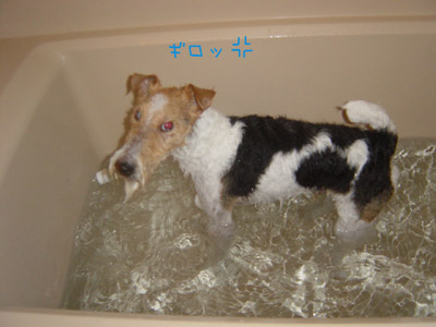 img20051129.jpg