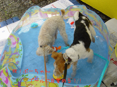 img20050623.jpg