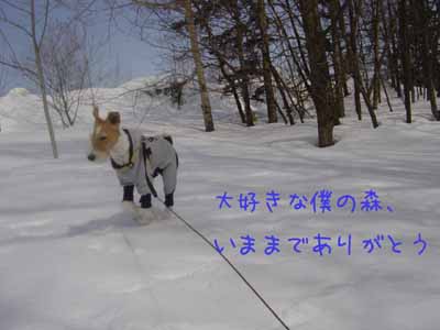 img20050320.jpg