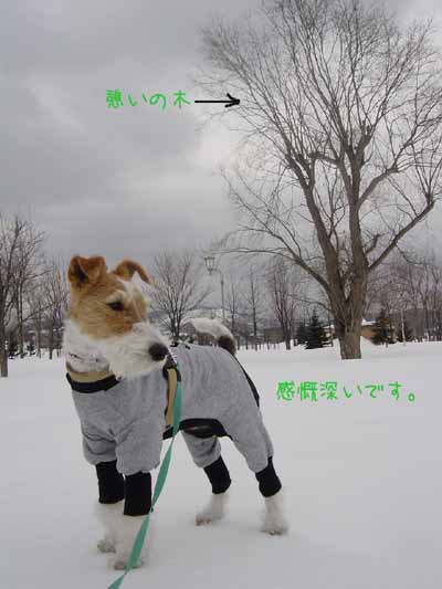 img20050317.jpg