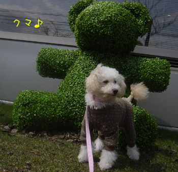 img20060325_1.jpg
