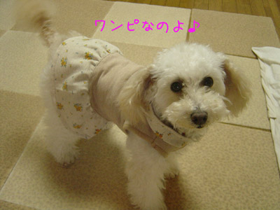 img20060222.jpg
