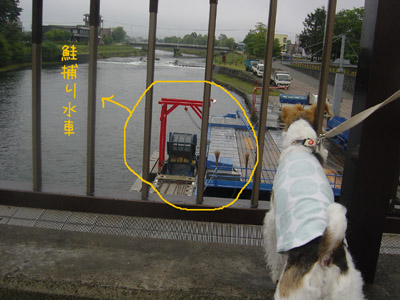 img20050829.jpg
